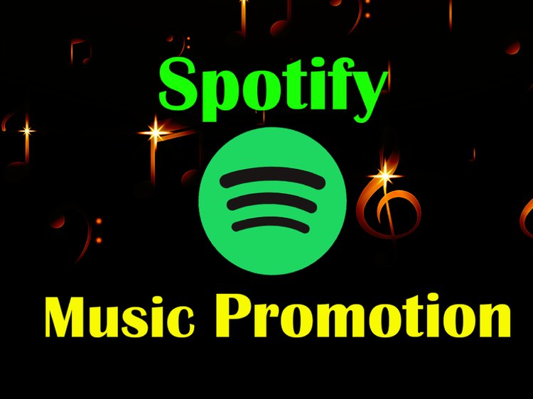 Spotify Promotion in usa 2022