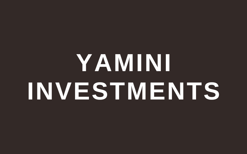 Yamini Investment Share Price Target 2023 2024 2025 2030