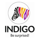 Indigo Paints Share Price Target