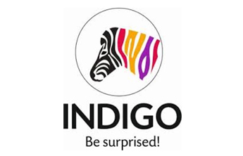 Indigo Paints Share Price Target