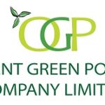 Orient green power share price target