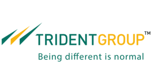 Trident Share Price Target 2023 2024 2025 2030