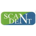 Scandent Imaging Share Price Target